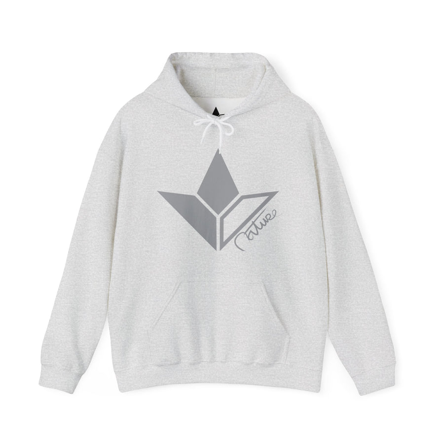 Barely There Grey Aloe Hoodie (Mens) image 0