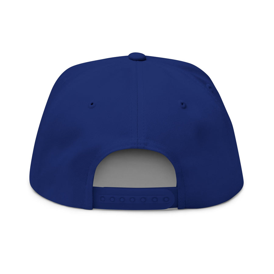Aloe Squared Flat Bill Cap (Embroidery) image 3