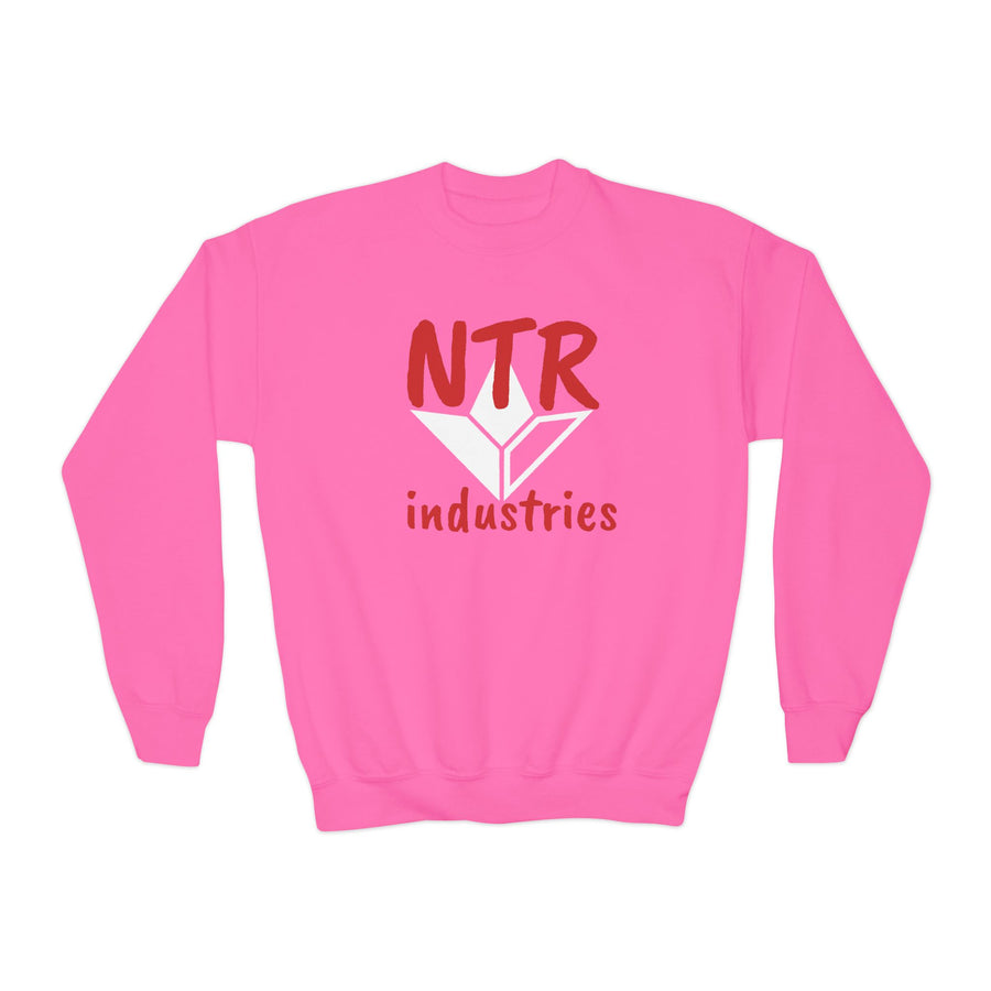 NTR Crewneck Sweatshirt (Youth Unisex ) image 2