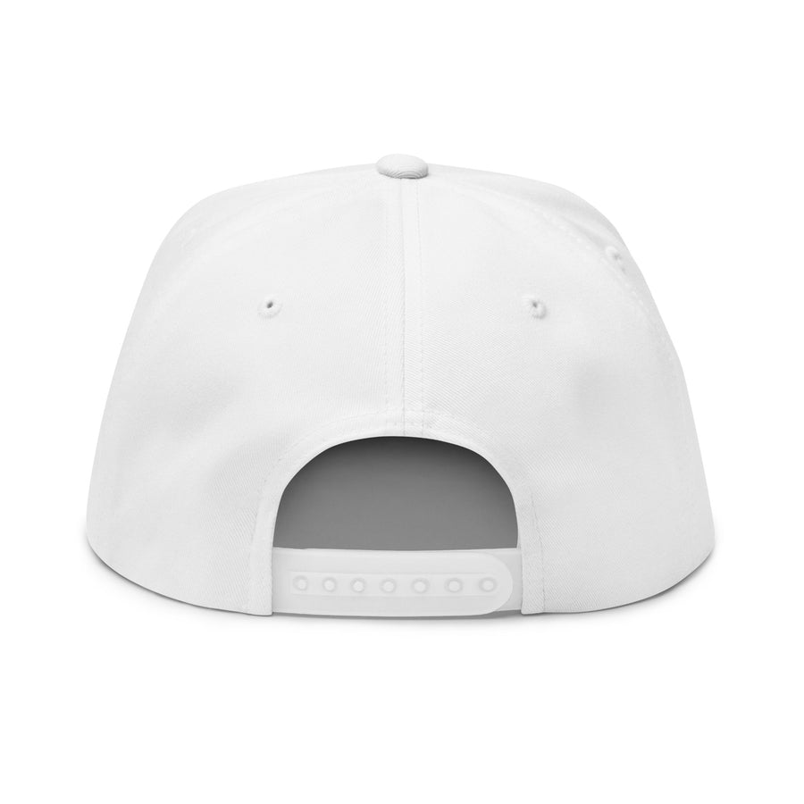 Aloe Squared Flat Bill Cap (Embroidery) image 1