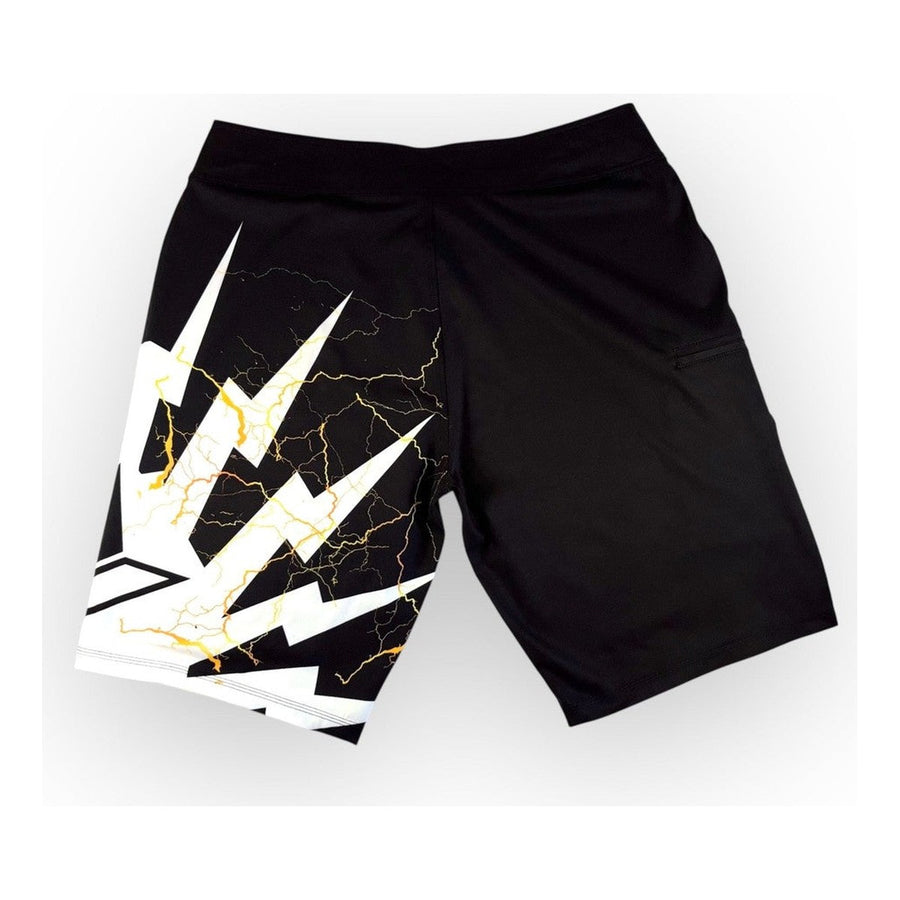 Aloe Shock Wave VeraFlex Boardshorts in Black, back view