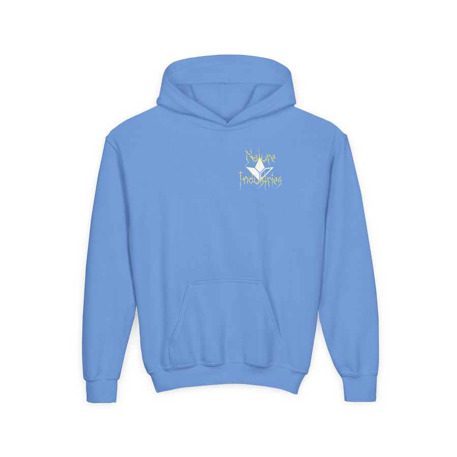 Electrified Aloe Heavy Hooded Sweatshirt (Boys) image 2